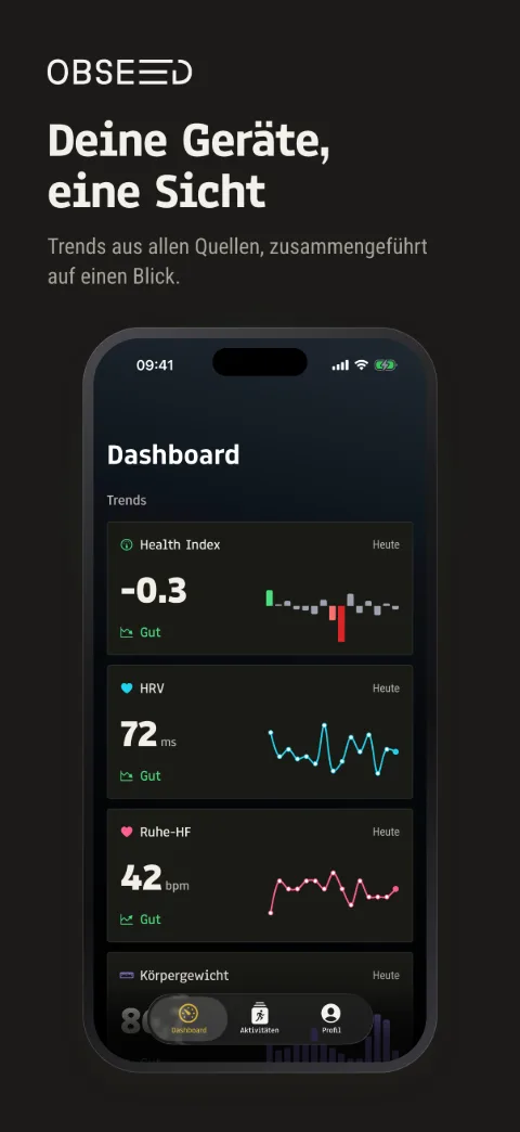 Dashboard – iPhone 6,3″