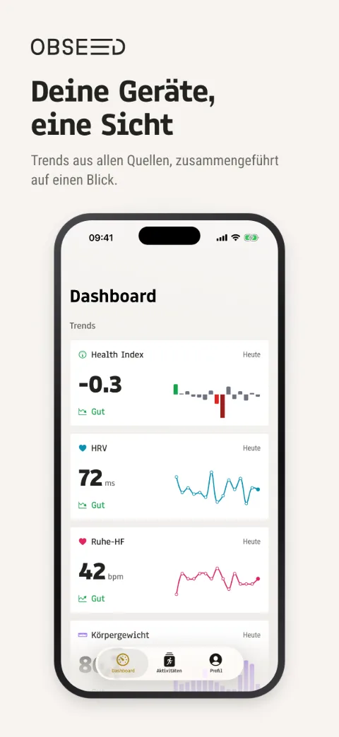 Dashboard – iPhone 6,3″