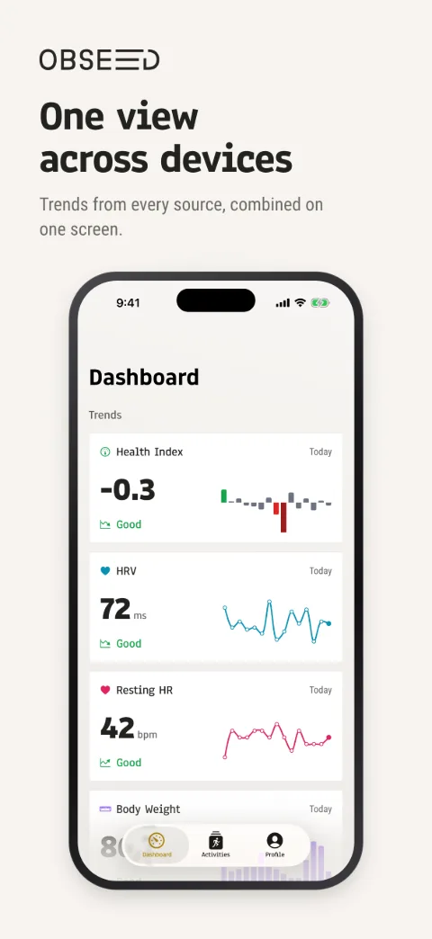 Dashboard – iPhone 6,3″