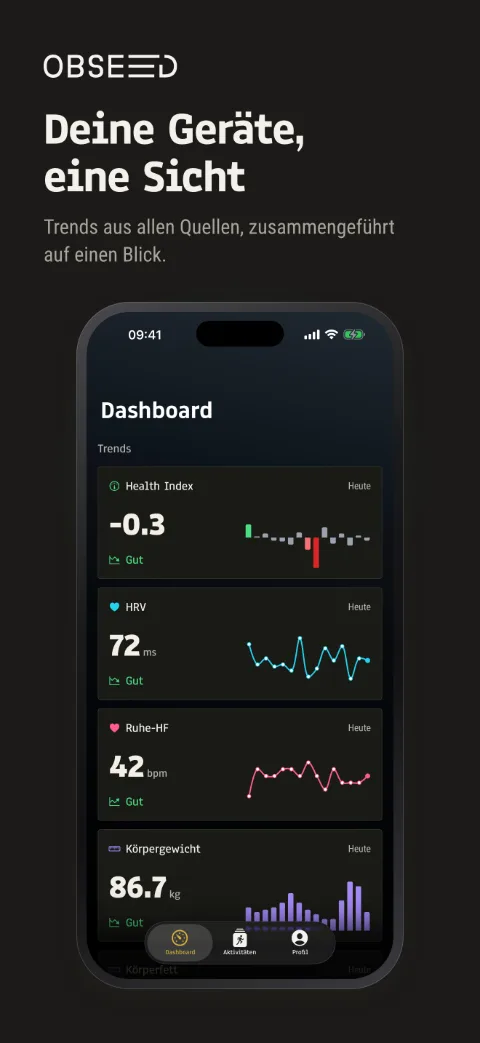 Dashboard – iPhone 6,9″