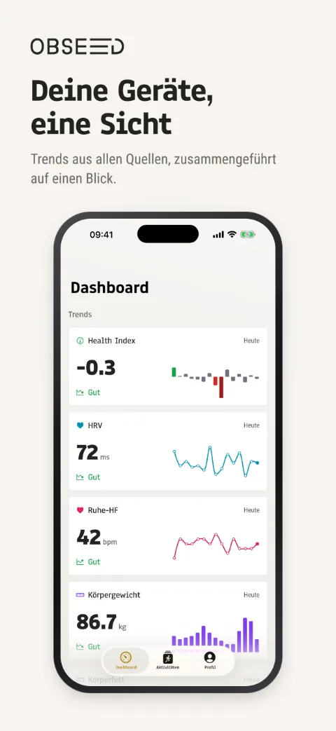 Dashboard – iPhone 6,9″